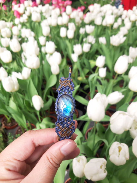 Labradorite  Macrame Bracelet