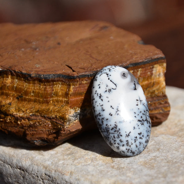 Dendritic Agate