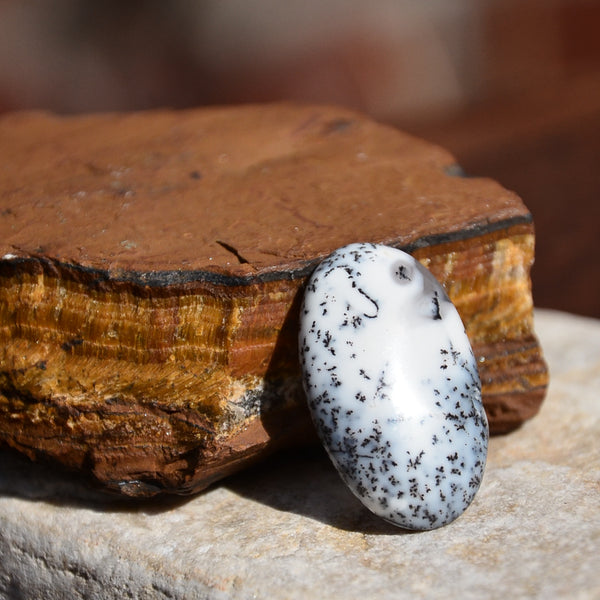 Dendritic Agate