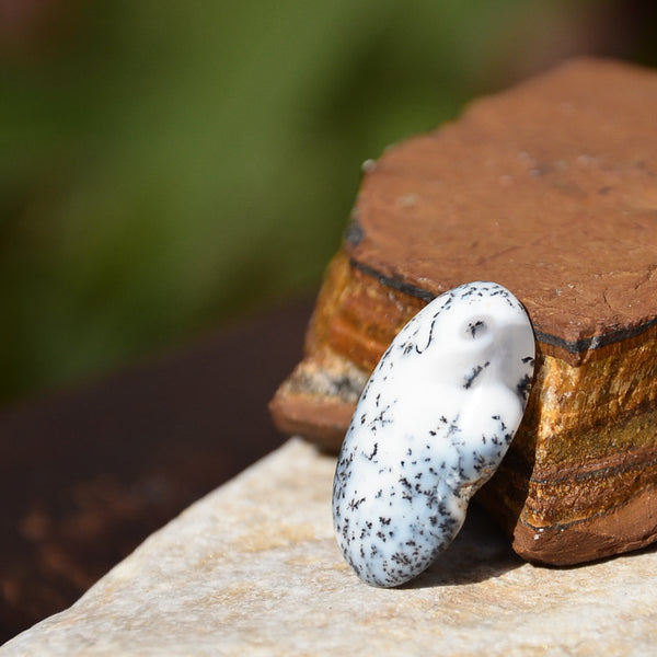 Dendritic Agate